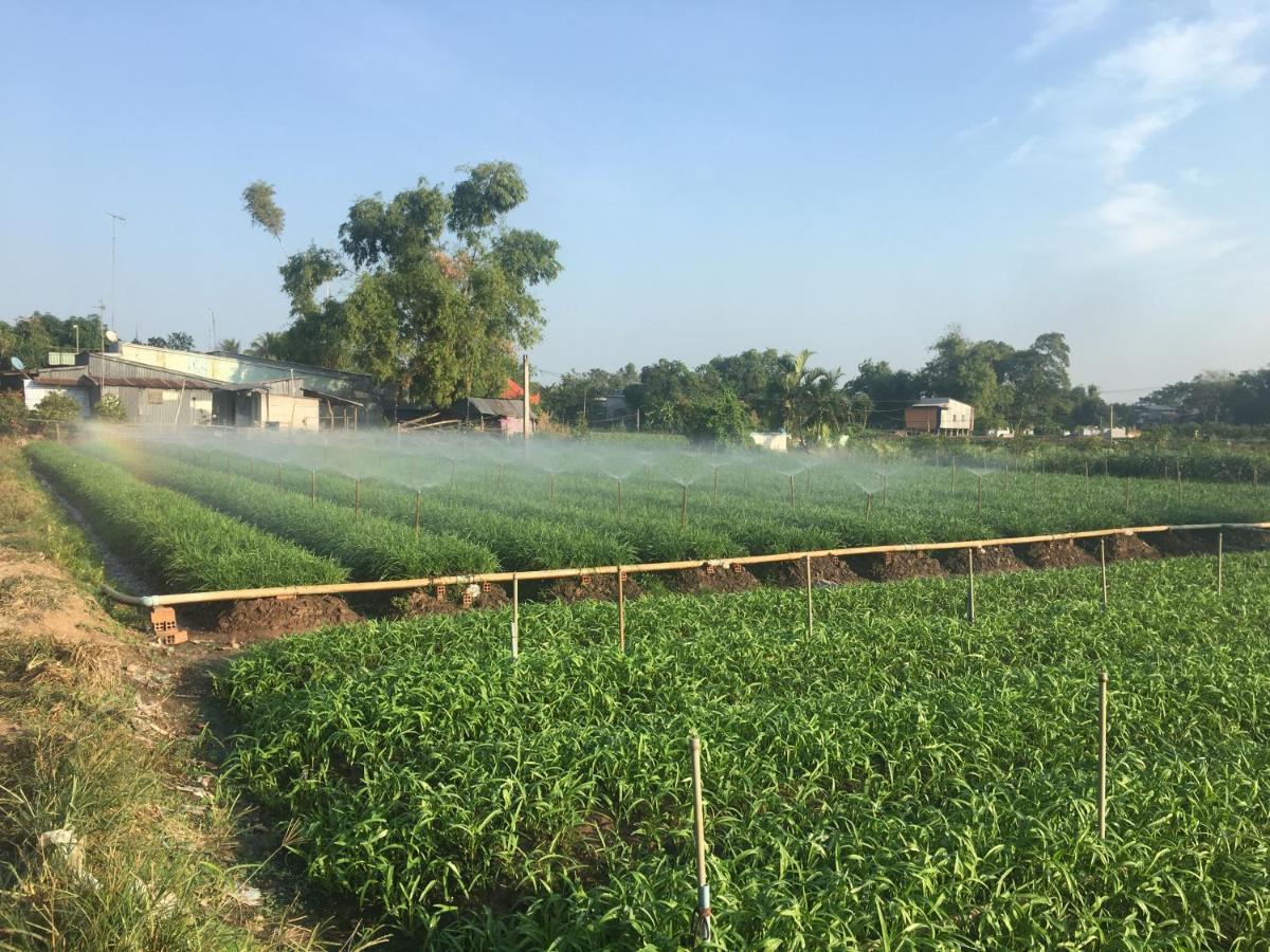 Chau Doc Homestay Kültér fotó